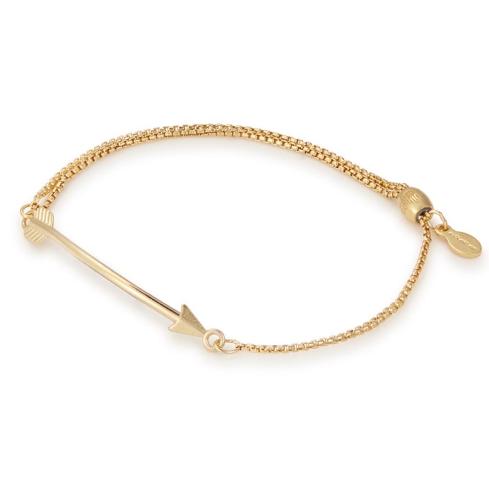 Alex and Ani Arrow Pull Chain Bracelet